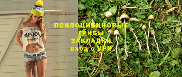 Альфа ПВП Инта