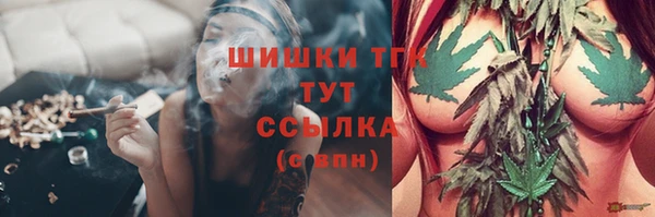 Альфа ПВП Инта