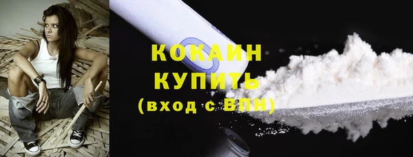 Альфа ПВП Инта