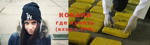 прущие грибы Инсар