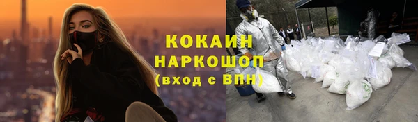 Альфа ПВП Инта