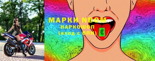 прущие грибы Инсар