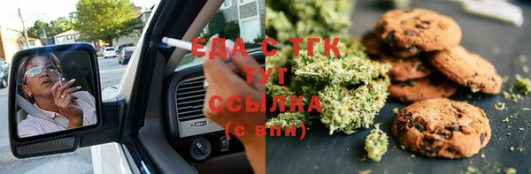 прущие грибы Инсар