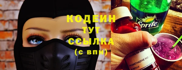 прущие грибы Инсар