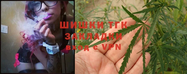 прущие грибы Инсар